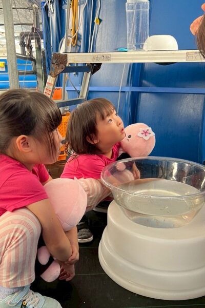 【募集終了】2025年7月19日・20日　親子で楽しもう！葛尾移住体験プログラムが開催されました